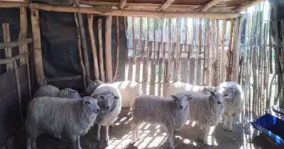 Alumnos de Valle Fértil volvieron de Catamarca con un quinto puesto y una historia que emociona