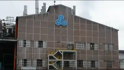 Ledesma facturó un 24% menos y la caja se derrumbó: los números que alertan en Jujuy