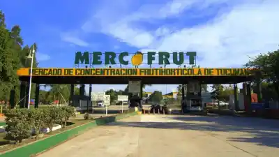 Por qué en Mercofrut la inflación baja pero las ventas no arrancan