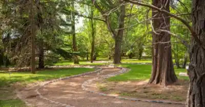 El Jardín Botánico de Chacras abre gratis con talleres, yoga y avistaje de aves
