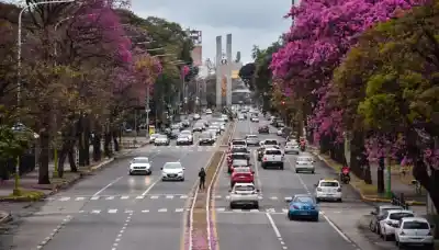 ¿Qué se espera para los próximos días? El pronóstico que mantiene a todos en alerta