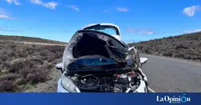 Iban de Chile a Caleta Olivia por la Ruta 43 y un guanaco les cruzó el auto