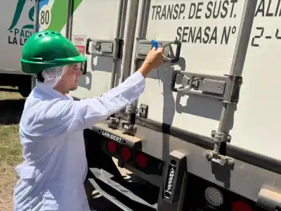 Otra vez el pacú chaqueño cruzó la frontera: 8,6 toneladas rumbo a Estados Unidos
