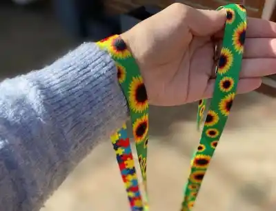 Un símbolo que ya es ley en Chaco: el cordón de girasoles que busca cambiar la mirada sobre las discapacidades invisibles