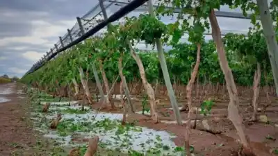 Mendoza se declara en emergencia por 180 días: los 7 votos que se negaron y el plan que ya tiene fecha