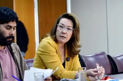 El plan que puede dejar a Ingresos Brutos en cero: quiénes pagarían menos y desde cuándo