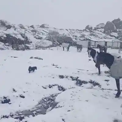 Las sierras amanecieron teñidas de blanco: dónde se vio la nieve
