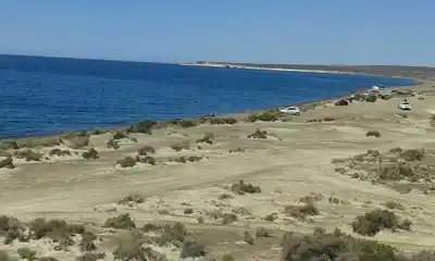 Puerto Madryn salió a cortar el rumor que se viralizó sobre sus playas