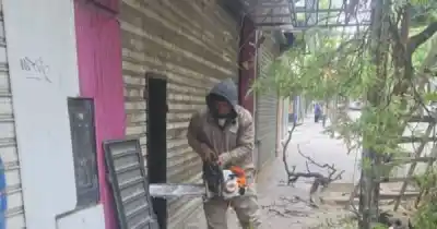 Podaba dos árboles con una motosierra en Ciudad y no esperaba lo que le cayó encima