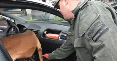 Lo que encontraron escondido en su auto dejó helados a los gendarmes