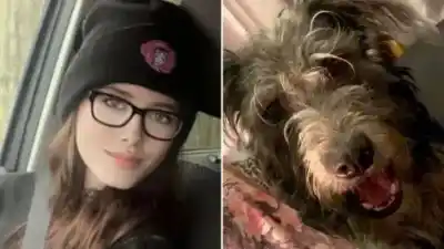 Su perro más dócil la atacó en su propia habitación: el desgarrador relato del padre que lo vio todo