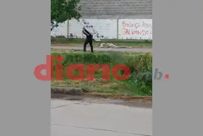 Rastrillaje en la zona montuosa: dos hombres terminaron en la comisaría por lo que había entre los pastizales