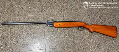Allanaron una casa por crueldad animal y se llevaron un arma inesperada