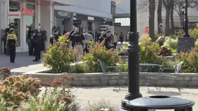 La atacó en el estanque de un shopping: lo que hicieron los testigos evitó lo peor