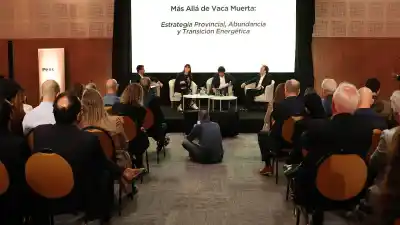 Neuquén: el dato que dejó al descubierto por qué Vaca Muerta no alcanza