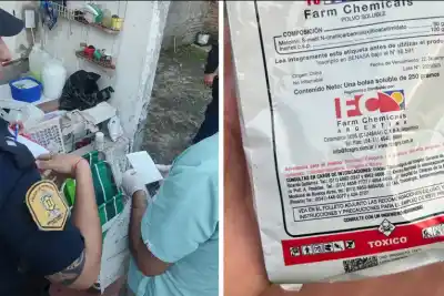 El veneno que arrojaban en las calles de Concordia terminó en una casa: lo que encontró la Policía