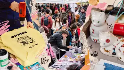 La feria rosarina que empezó con una catsitter y hoy reúne a los fanáticos de los gatos