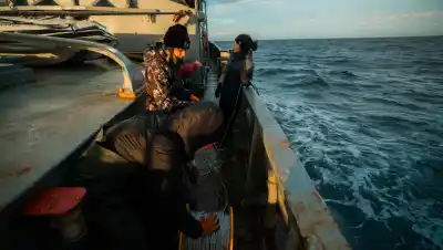 Pusieron cámaras de National Geographic a 200 metros bajo el Golfo San Matías: lo que filmaron sorprendió a los científicos