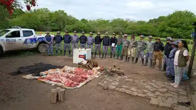 Allanaron un campo en Presidencia de la Plaza y se toparon con algo que no esperaban