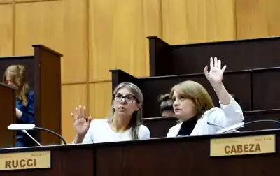 El pedido del MPN a Milei que la Legislatura debate esta semana