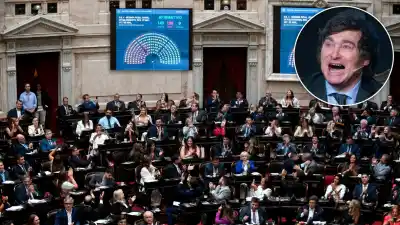 El DNU que reordenó el poder: los 9 sectores que quedaron sin protección