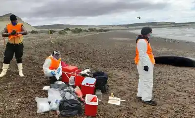 Alguien inventó una prohibición que nunca existió en Puerto Madryn y el Estado perdió un día entero