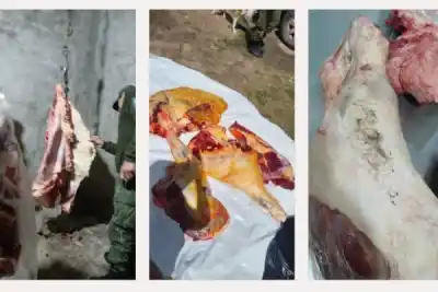 La carne que vendían en una carnicería de Monte Caseros tenía algo que no debía estar ahí