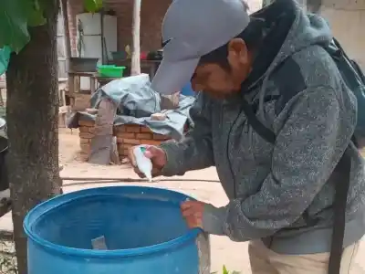 Con las lluvias, el dengue vuelve a acechar en Formosa: casa por casa, el operativo que busca frenarlo