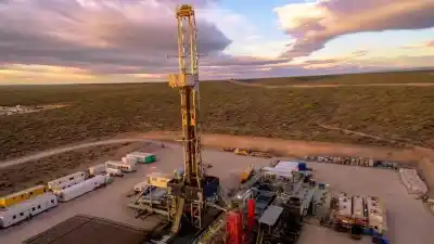 ¿Por qué le dicen Vaca Muerta a la joya petrolera de Neuquén?
