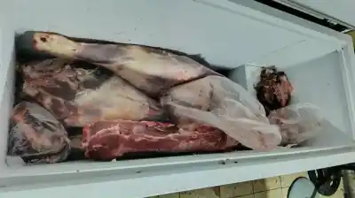 Un productor avisó a la policía y dos allanamientos en Médanos terminaron con casi 600 kilos de carne secuestrados