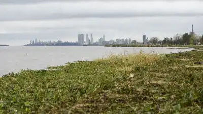 El río que venía en bajante ahora manda una crecida: a qué ciudad de Santa Fe llegaría primero