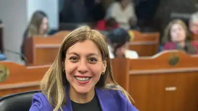 Stella Nieva apuntó contra Javier Milei y anticipó su voto en la Legislatura