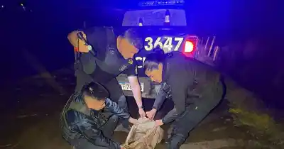 El robo de los 10 lechones en Maipú: los atraparon con las bolsas en la mano