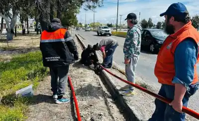 El rincón de Rawson que era basural ahora tiene riego automático: los vecinos no lo pueden creer