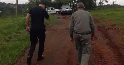 Seis cerdos atacados y una alerta en Facebook: la Policía rastrilló dos zonas rurales de Misiones