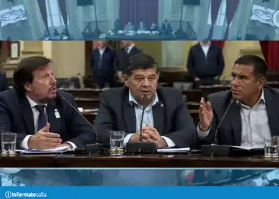 Senado de Salta: pidió informes, se los rechazaron y la sesión terminó a los gritos
