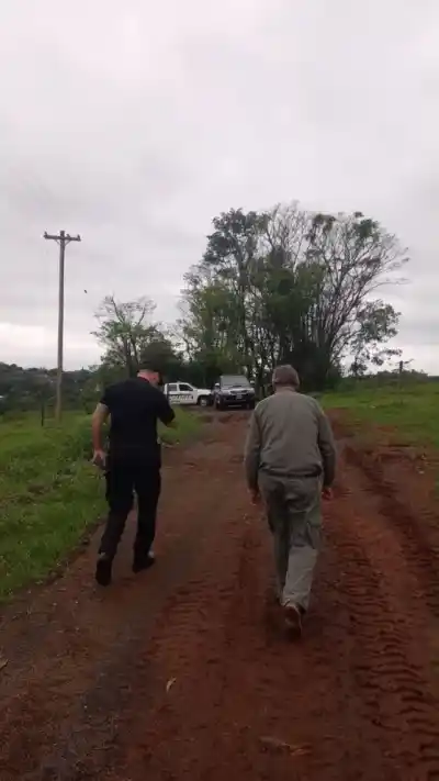 San Vicente: atacaron a sus cerdos y ahora la Policía rastrilla los montes