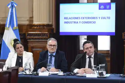 El tratado que dormía hace 28 años en el Congreso y que ahora el oficialismo quiere desempolvar