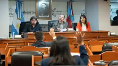 Senadores catamarqueños aprobaron una ley para el campo y avanzaron con otra que cambia el trámite en los bancos