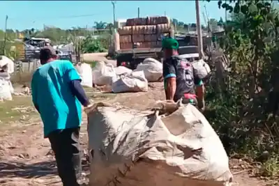En Paraná, cada vez más familias tiran del carrito: la cooperativa que busca frenar la explotación