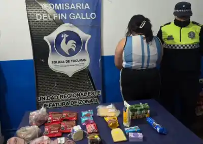 La filmó la cámara de la despensa: escondía la mercadería entre la ropa y salía sin pagar