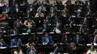 Faltaron ocho bancas y los diputados de Neuquén y Río Negro quedaron en la mira