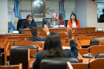 Catamarca avanza con una ley para que los trámites no sean un infierno para las personas con autismo