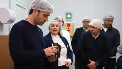 Puerto Madryn: el proyecto científico que nació con erizos del Golfo Nuevo y ya exporta a Estados Unidos