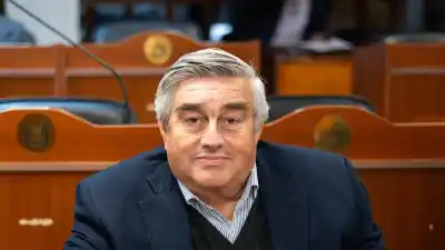 Déjà vu en Diputados: el artículo que hace temblar a Tinogasta por la Zona Franca