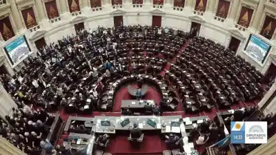 La sesión por discapacidad y el DNU 70/23: la ausencia salteña que llamó la atención