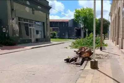 Caminaba por una calle de Rosario del Tala y una rama le cambió los planes: terminó internada