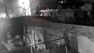 El detalle que complicó al ladrón de placas del cementerio La Piedad