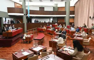 Raidan seguirá al frente del STJ: los argumentos que usó la Legislatura para archivar el pedido de juicio político