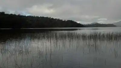 Bariloche: la Justicia frena dos hoteles sobre el lago Moreno y el municipio tiene 72 horas para responder